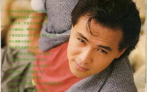 《忘不了》吉他谱_G调六线谱_扫弦版_童安格缩略图